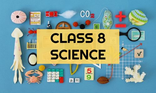 Class 8-Science