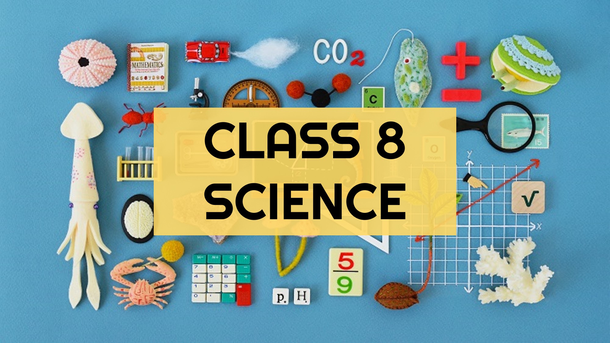 Class 8 Science