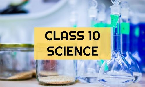 Class 10 – Science