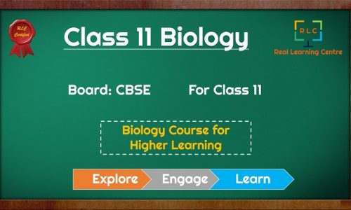 Class 11- Biology