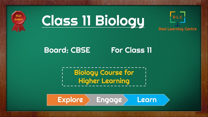 Class 11 Biology