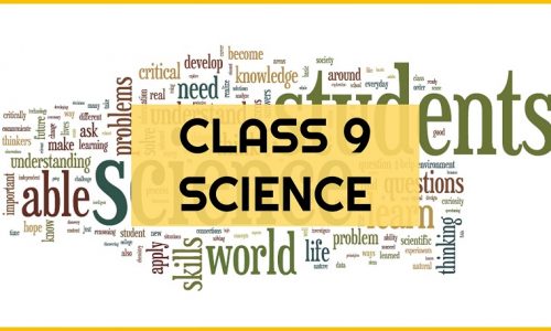 Class 9 – Science